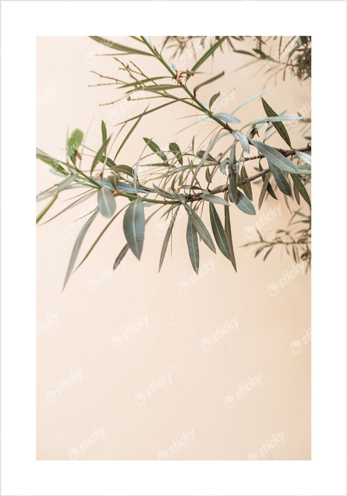 Πόστερ GREEN LEAVES BRANCHES