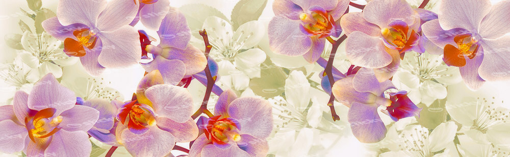 Πίνακας Πανοραμικός σε καμβά FLOWERING ORCHIDS AND CHERRIES
